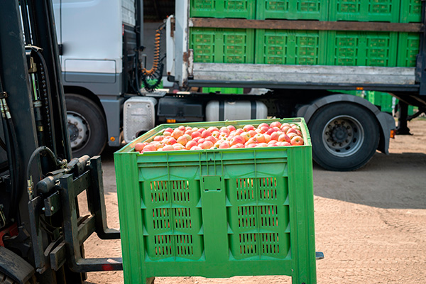 Producción de frutas